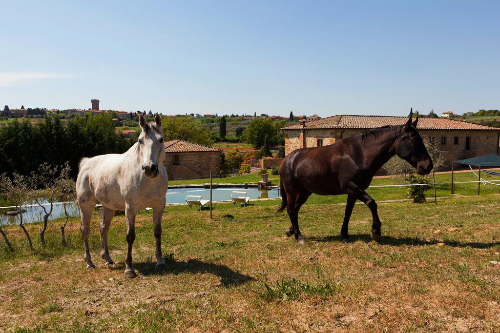 Agriturismo La Collina Pienza Eksteriør bilde